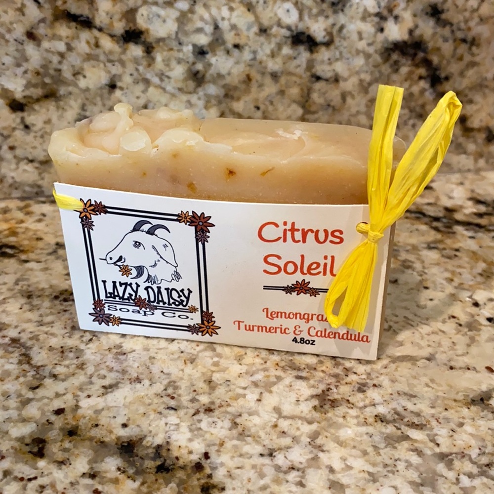 NWT Lazy Daisy Soap Bar